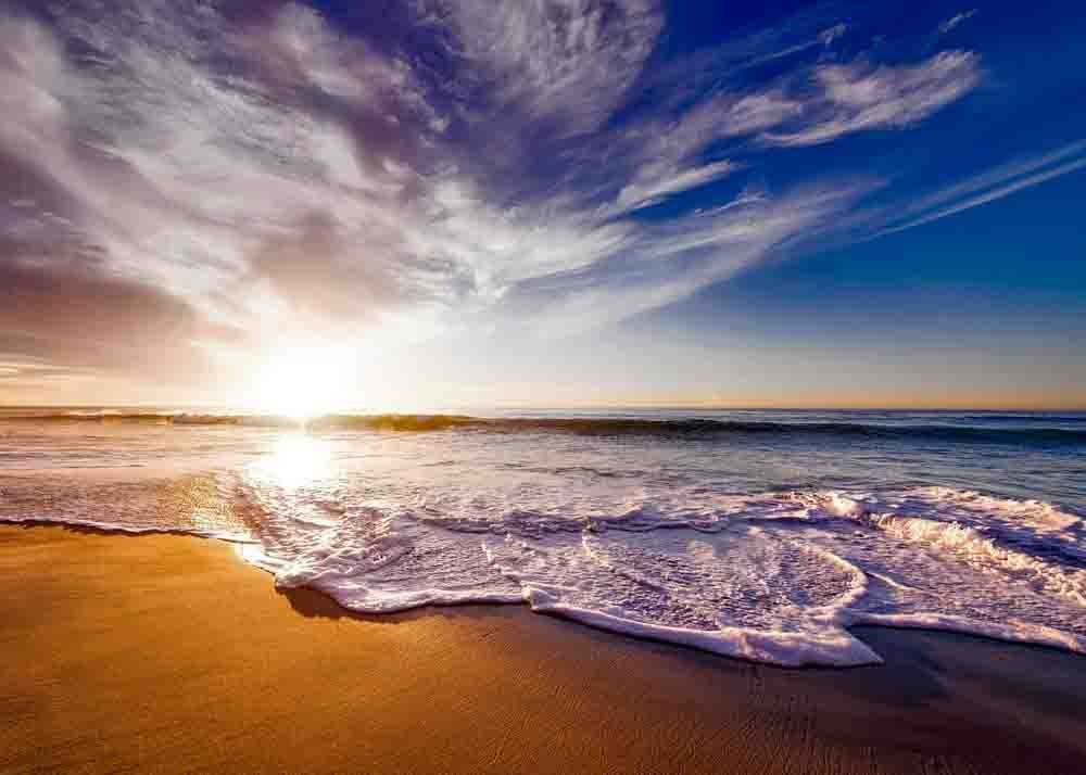 Open Horizon תמונה 9