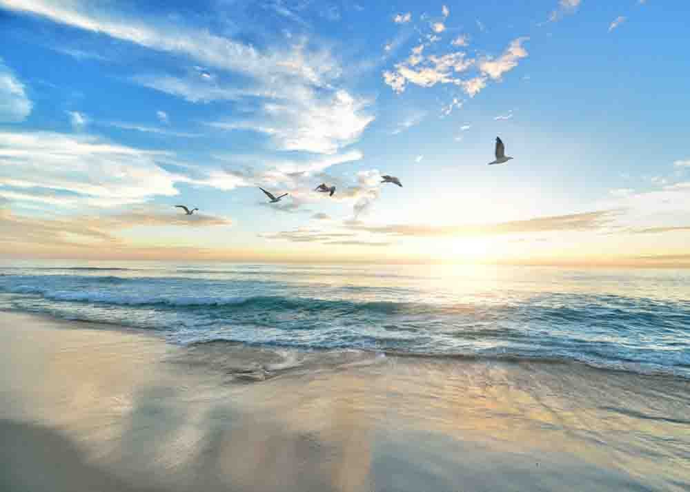Open Horizon תמונה 21